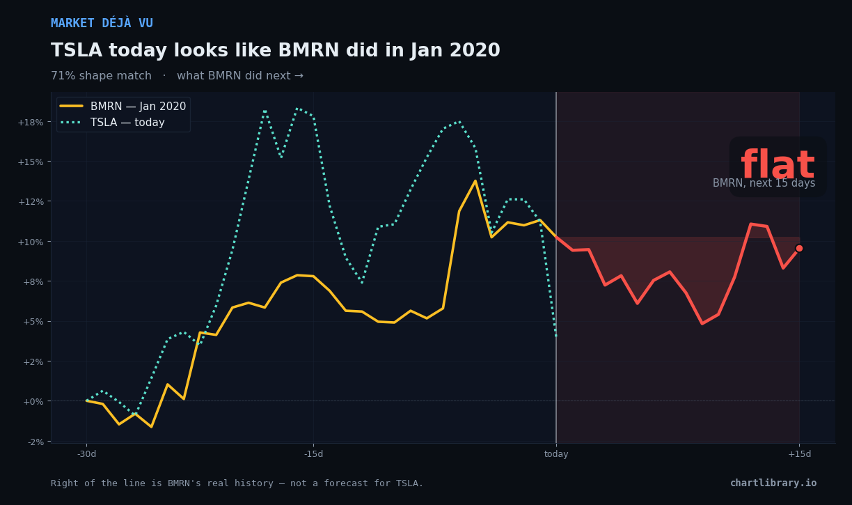 TSLA vs BMRN Jan 2020 — what happened next
